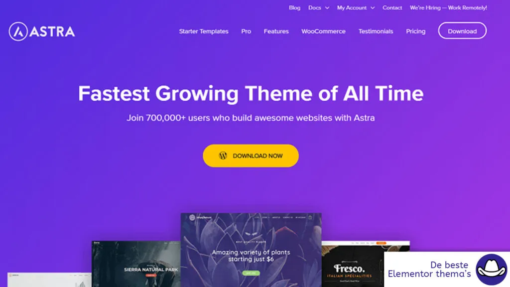 Astra Theme